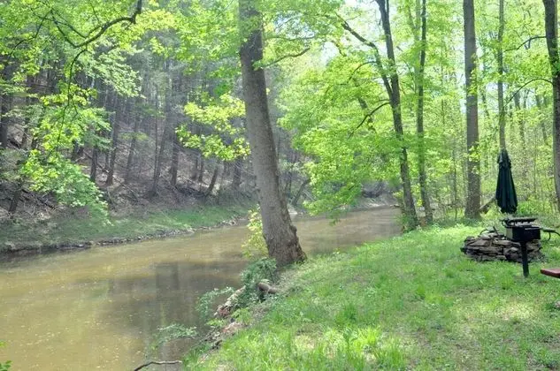 Mishka at Sleepy Creek