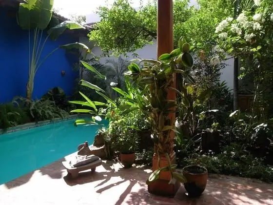 Miss Margrit's Guesthouse - Havuz