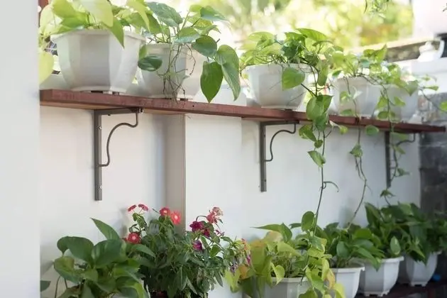 Miss Ten Homestay - Dış Mekan