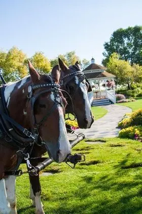 Mission Point Resort