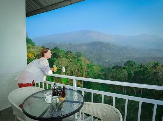 Mistletoe Munnar