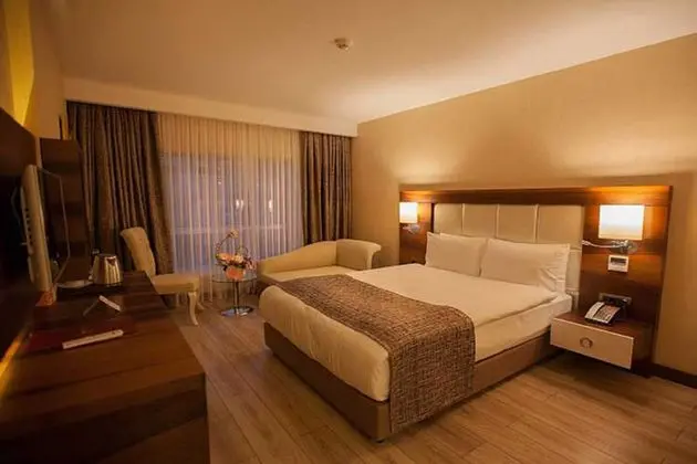 Mitannia Regency Hotel - Oda