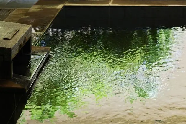 Mitsui Garden Hotel Kashiwanoha - Havuz
