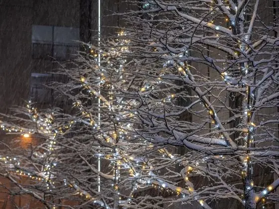 Mitsui Garden Hotel Sapporo - Dış Mekan