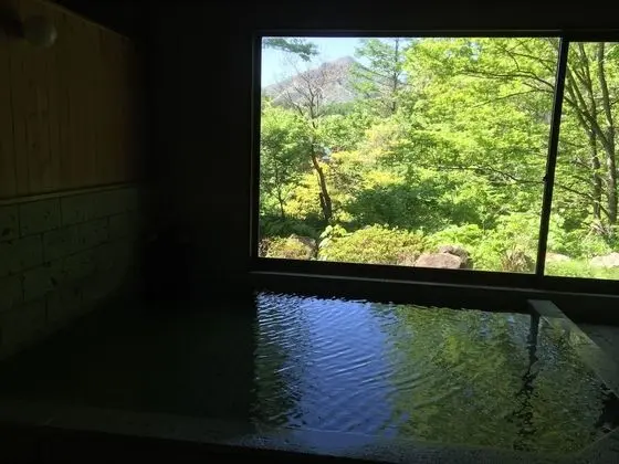 Miyori Furusato Taikenmura - Havuz