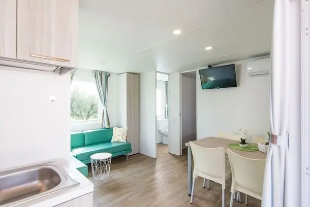 Mobile Home Septarian