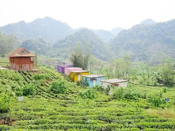 Moc Chau Arena Village - Dış Mekan