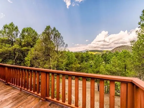 Mockingbird Cabin - 1