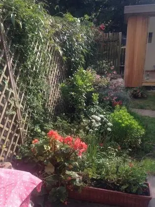 Modern 3 Bedroom Apartment in Brixton - Dış Mekan