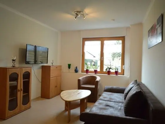 Modern Apartment in Eifel Near Forest - 1