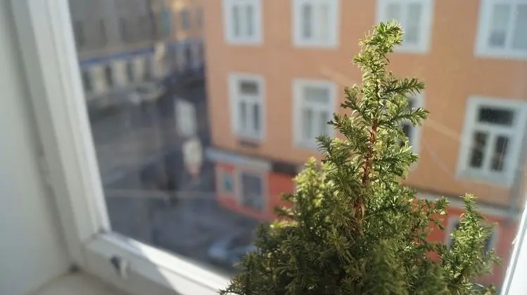 Modern Apartment in The Heart of Vienna 5