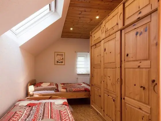 Modern Apartment Inpöhla Saxony Near Ski Area - Oda