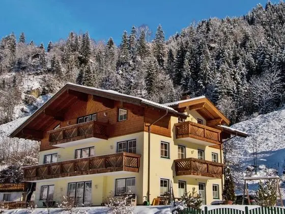 Modern Apartment With Sauna in Grossarl Salzburg - Dış Mekan