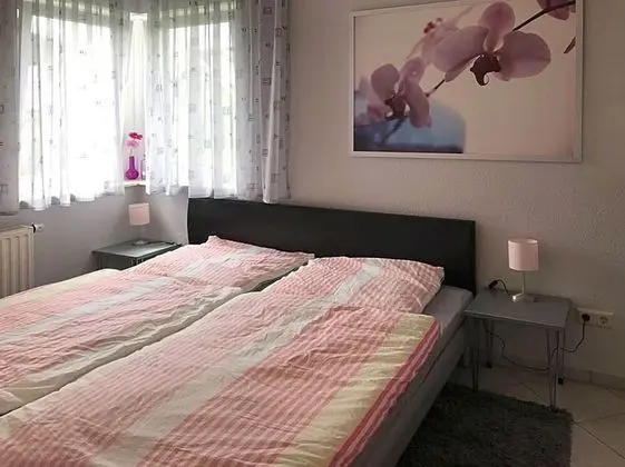 Modern Apartment in Willingen With Private Terrace - Oda