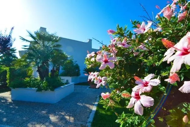 Modern Villa Casa Kasijan Private Pool Summer Kitchen 3 Bedrooms 4 Bathrooms Rural Area