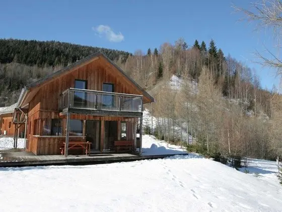 Modern Chalet in Stadl an der Mur With Sauna