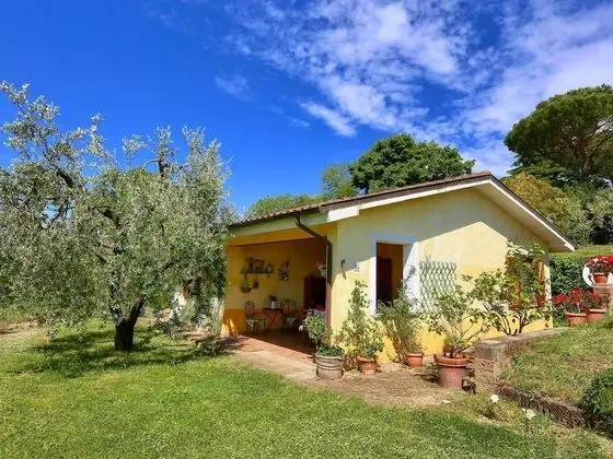 Modern Cottage in Graffignano Italy With Swimming Pool