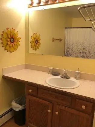 Modern, Exquisite 1-bedroom Home in Anchorage - Banyo Tipleri