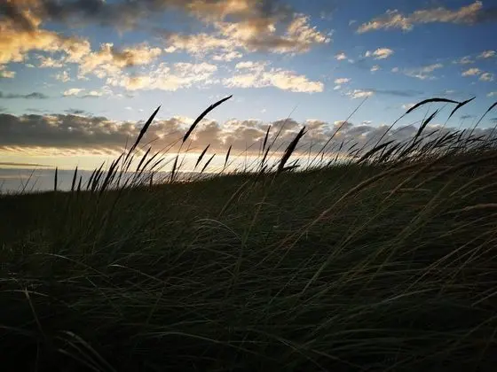 Modern Holiday Home in Blåvand Near the Sea