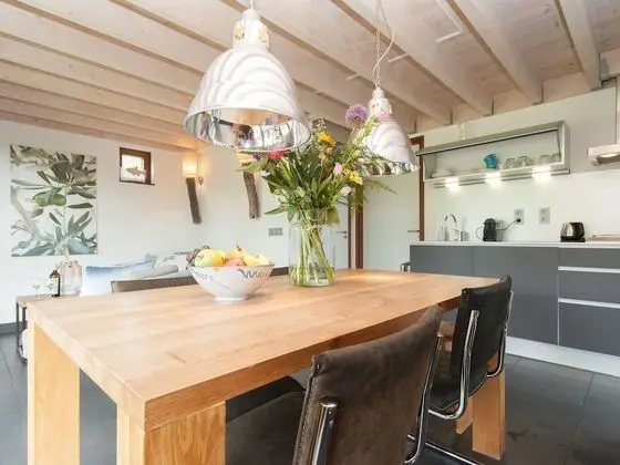 Modern Holiday Home Located Against the Dunes Between Schoorl and Bergen - Yerinde Yemek