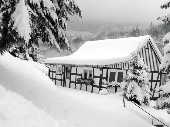 Modern Holiday Home in Oberkirchen With Garden - Dış Mekan