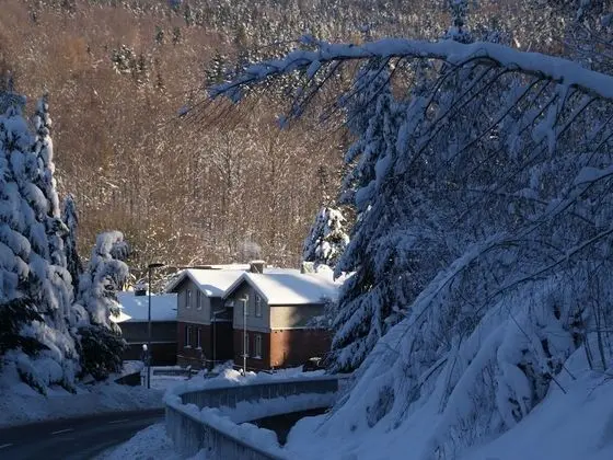 Modern Holiday Home in Rechenberg-bienenmühle Near Ski Area