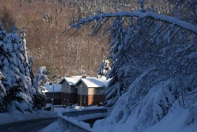 Modern Holiday Home in Rechenberg-bienenmühle Near Ski Area