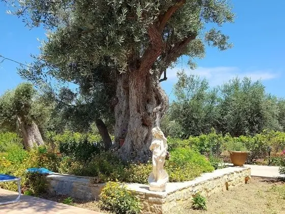 Modern Holiday Home in Sfakaki Crete With Swimming Pool - Dış Mekan