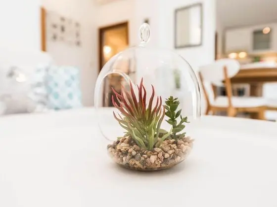 Modern Holiday Home in Zadar With Terrace - Yerinde Yemek