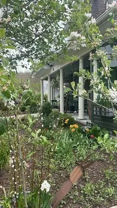Modern Homestead Guest House - Dış Mekan