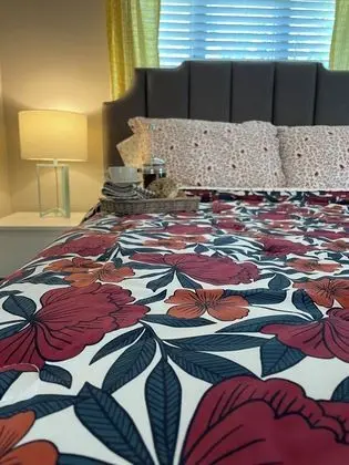 Modern Homestead Guest House - Öne Çıkan Resim