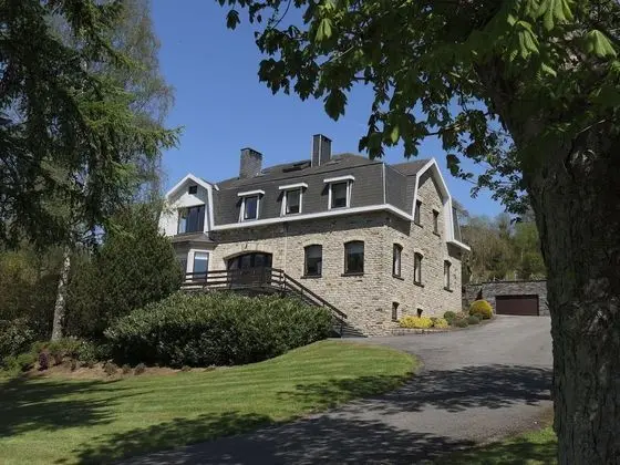 Modern Mansion in Vielsalm With Sauna and Private Pool - Dış Mekan