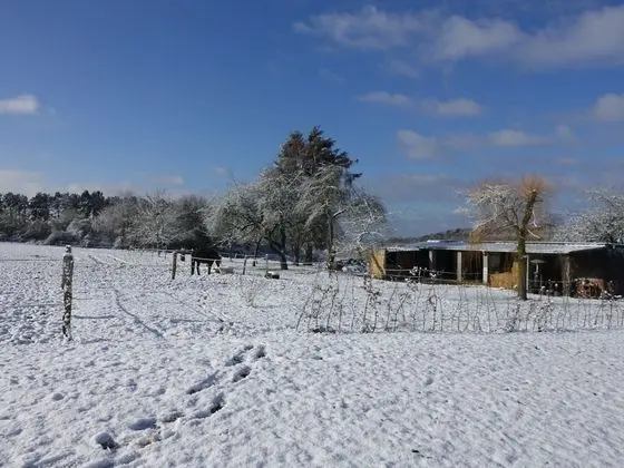 Modern Villa in Rochefort Close to the Horses - Dış Mekan
