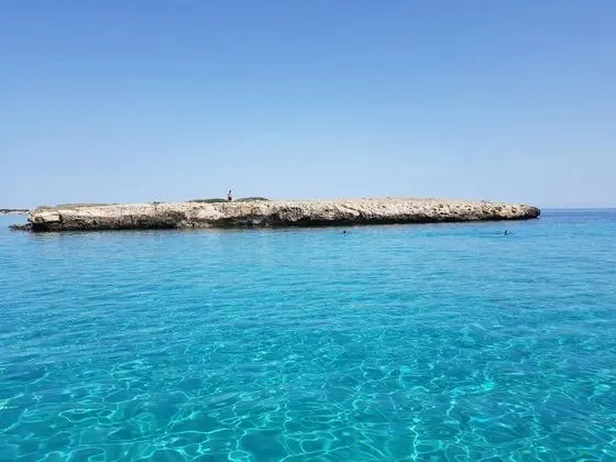 Modern and Spacious 2 bed Apartment in Peyia - Genel