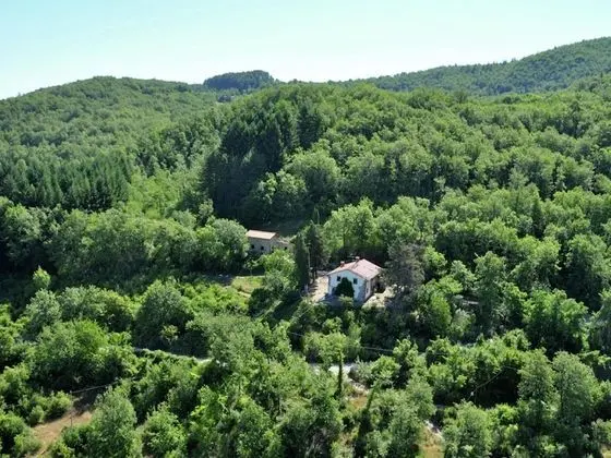Modish Farmhouse in Ortignano With Swimming Pool - Dış Mekan