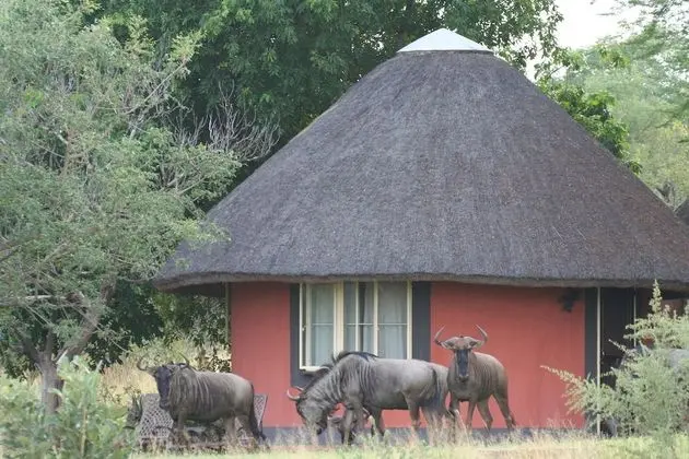 Mohlabetsi Safari Lodge