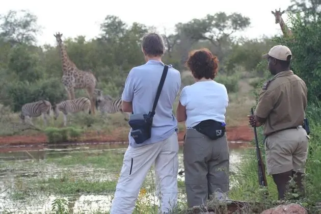 Mohlabetsi Safari Lodge - Dış Mekan