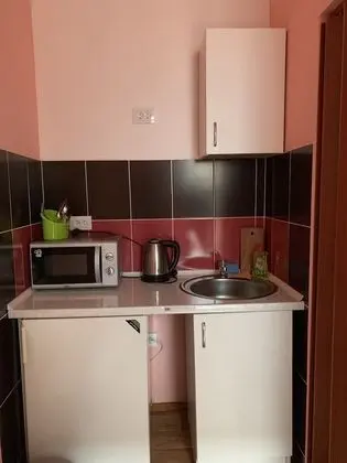 Moisha Apartment Kotlyarskaya 5-3 - Mutfak