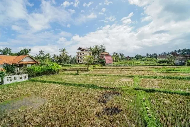 Molecha Guest House
