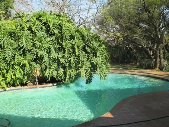 Monchique Guest House - Havuz