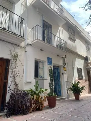 The Monkey Room - Dış Mekan