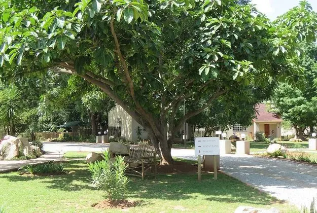 Monkey Thorn Guest Lodge - Dış Mekan