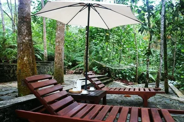 Monsoon Adventure Park - Dış Mekanlar