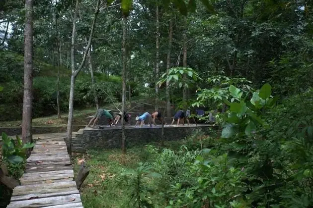 Monsoon Adventure Park - Fitness