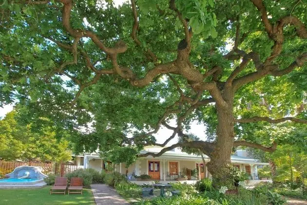 Montagu Vines Guest House - Dış Mekan