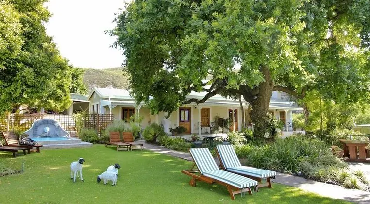 Montagu Vines Guest House - Havuz
