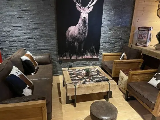 Montana Chalet Hôtel - Lobi