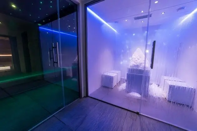 Montana Chalet Hôtel - Spa