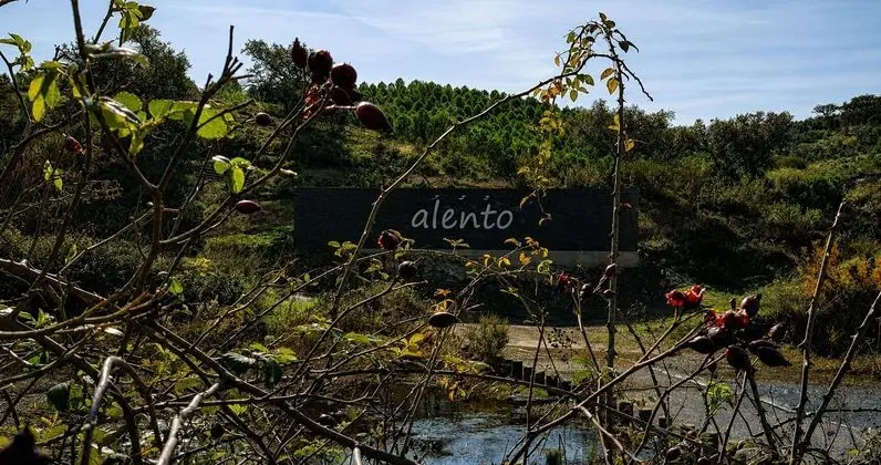 Monte do Alento - Castro da Cola - Dış Mekan