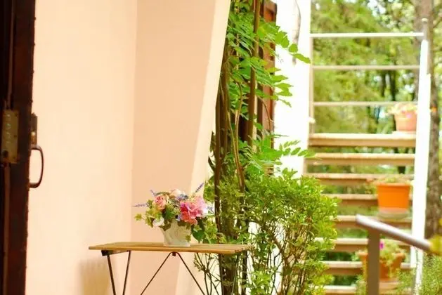 Monte Malbe Charming Villa with Garden and Parking - Dış Mekan